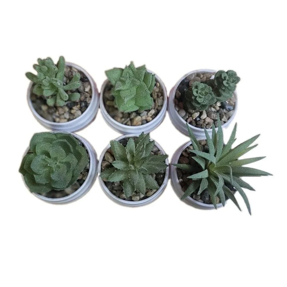Set of 6 Faux Succulent Plants in White Pots Mini Artificial Desk Home Decor